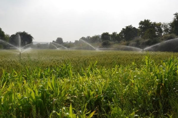 Cast Iron Submersible Pumps manufacturer